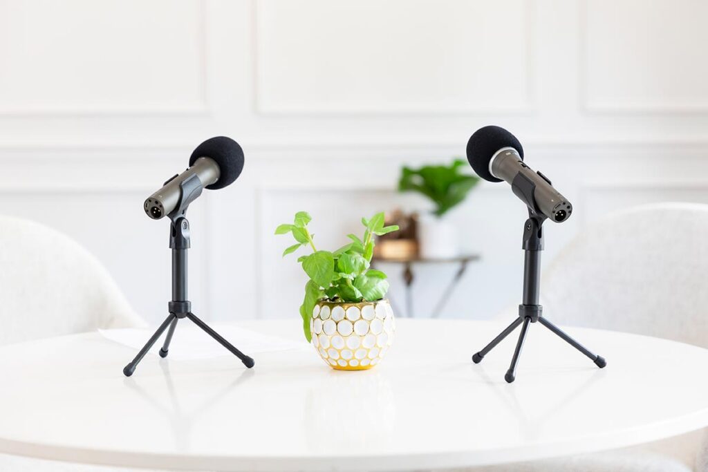 Two microphones on stands face each other on a white table with a potted plant in the center.
