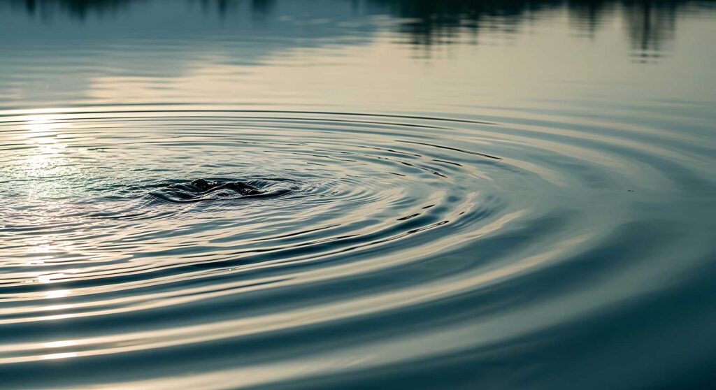 Ripples spread outward on a calm body of water, with gentle sunlight reflecting on the surface. The overall scene is peaceful and undisturbed.